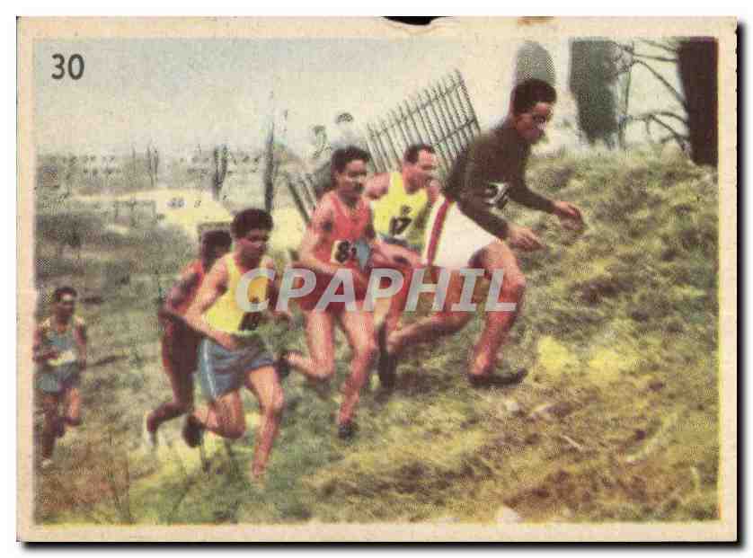 Image Les Sports La ruche moderne Sports Cross