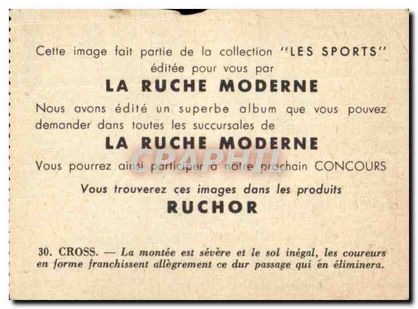 Image Les Sports La ruche moderne Sports Cross — Verso
