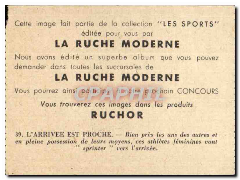 Image Les Sports La ruche moderne Sports Course a pied — Verso