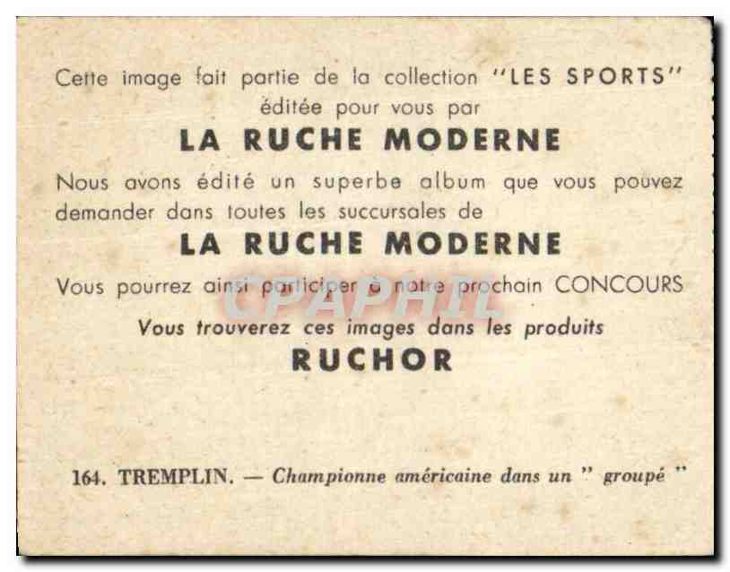 Image Les Sports La ruche moderne Sports Plongeoin Natation — Verso