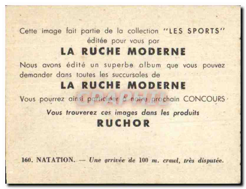 Image Les Sports La ruche moderne Sports Natation — Verso