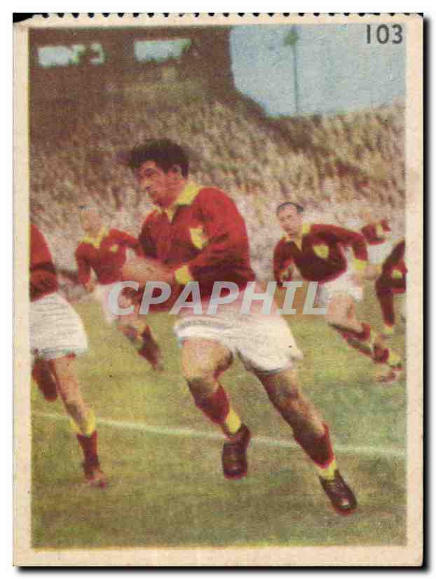Image Les Sports La ruche moderne Sports Rugby