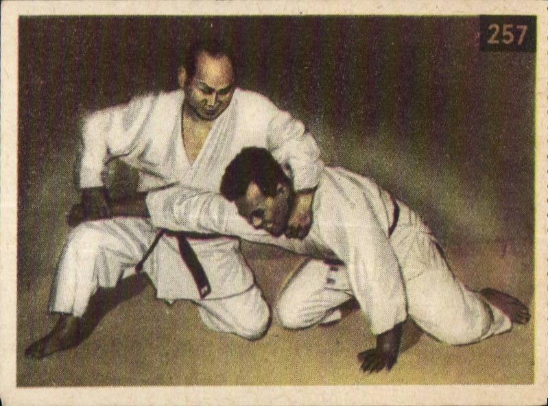 Image Les Sports La ruche moderne Sports Judo
