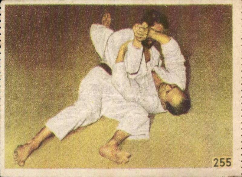 Image Les Sports La ruche moderne Sports Judo