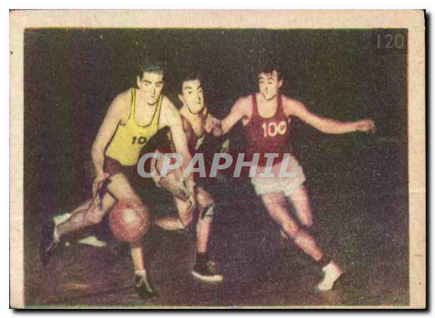 Image Les Sports La ruche moderne Sports Basket Ball