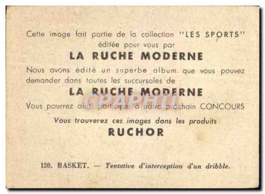 Image Les Sports La ruche moderne Sports Basket Ball — Verso