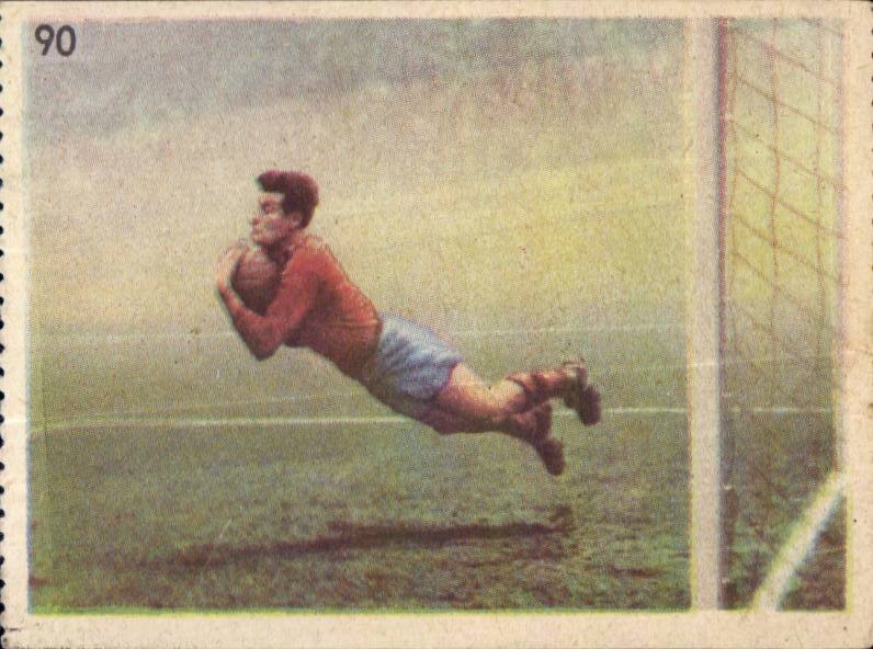 Image Les Sports La ruche moderne Sports Football Soccer