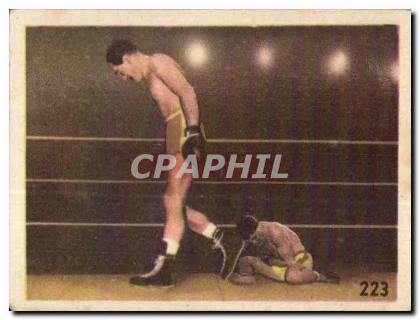 Image Les Sports La ruche moderne Sports Boxe Boxing