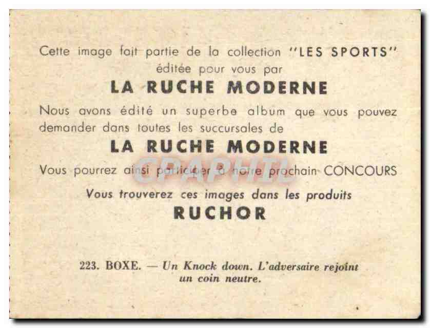 Image Les Sports La ruche moderne Sports Boxe Boxing — Verso