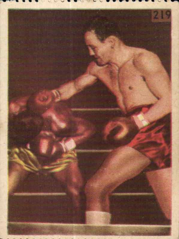 Image Les Sports La ruche moderne Sports Boxe Boxing