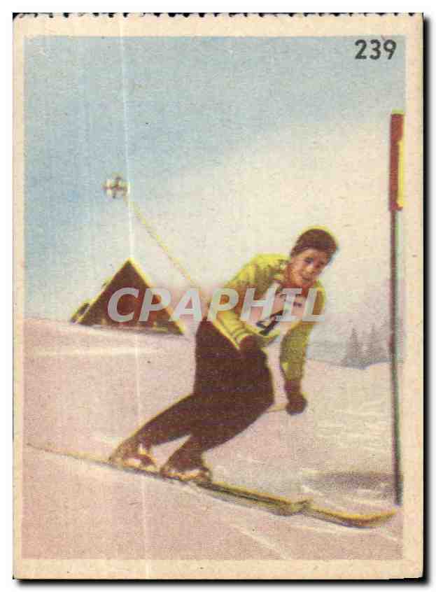 Image Les Sports La ruche moderne Sports Ski