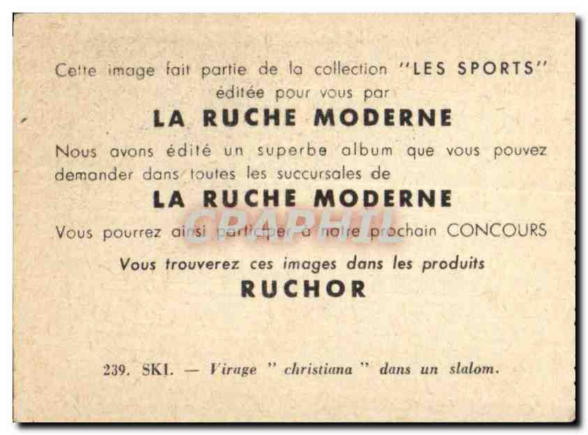 Image Les Sports La ruche moderne Sports Ski — Verso