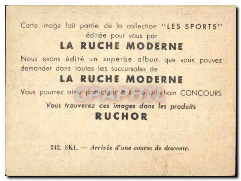 Image Les Sports La ruche moderne Sports Ski — Verso