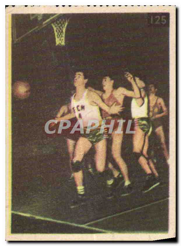 Image Les Sports La ruche moderne Sports Basket Ball