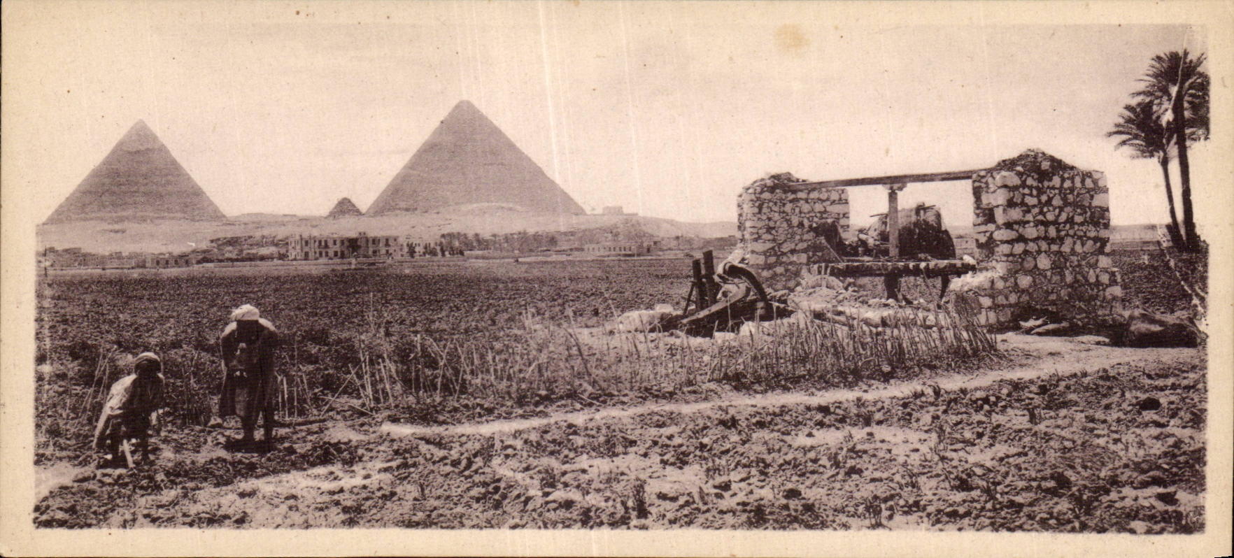 Égypte — Scène champêtre au pied des Pyramides — Imp. LÉVY Frères, Paris, n°76