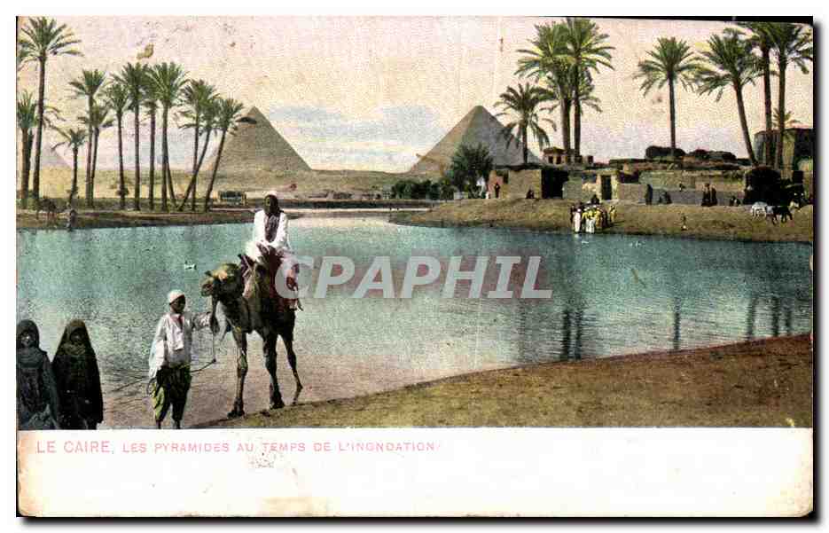 Afrique - Africa - Egypte - Egypt - Caire - Cairo - Les Pyramides au temps de l Inondation - CPA 