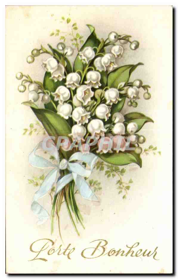 Fleurs Porte Bonheur - Muguet - Lily of the Valley - CPA 