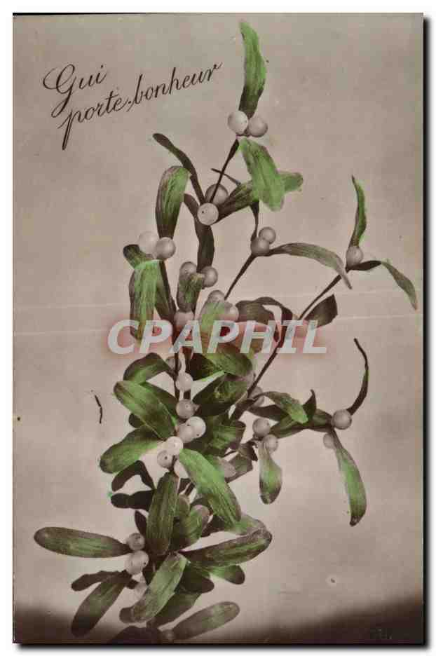 Fleurs Porte Bonheur - CPA 