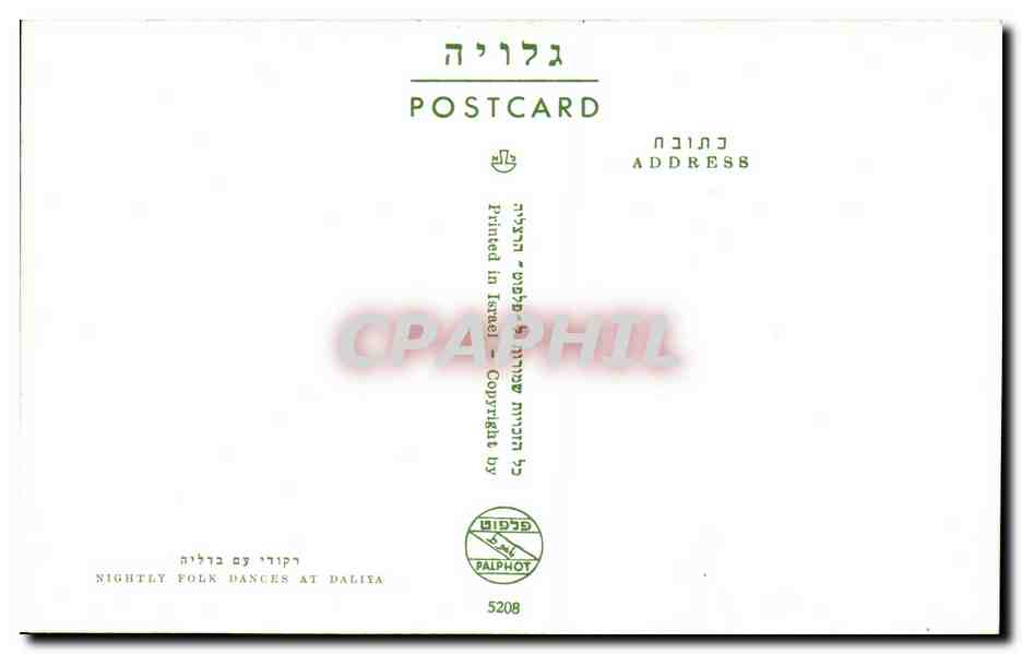Israel - The Nightly Dances of Daliya - CPSM — Rückseite