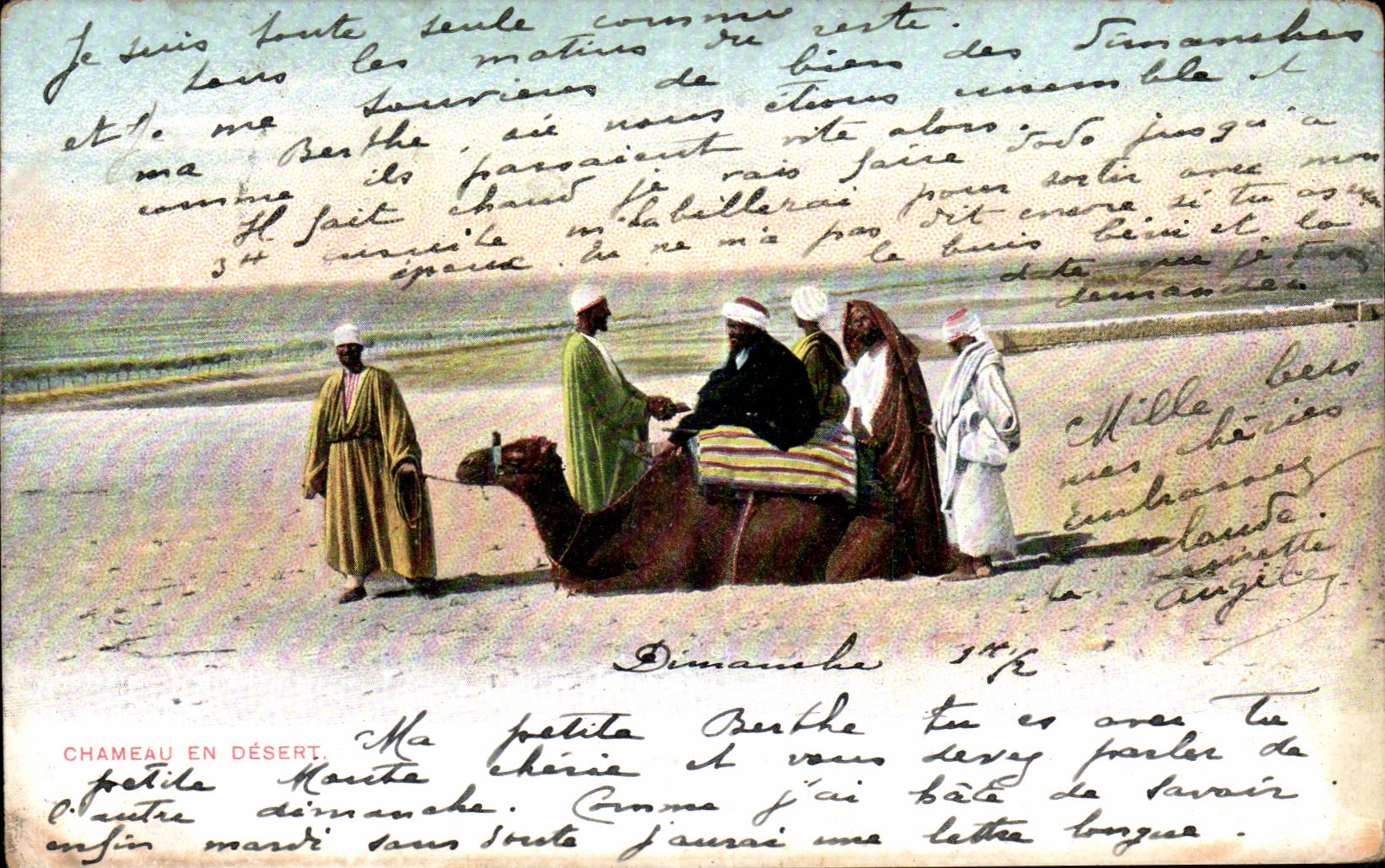 Afrique - Africa - Egypte - Egypt - Chameau en Desert - camel - CPA 