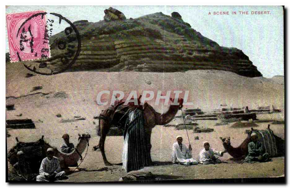 Afrique - Africa - Egypte - Egypt - A Scene in the Desert 