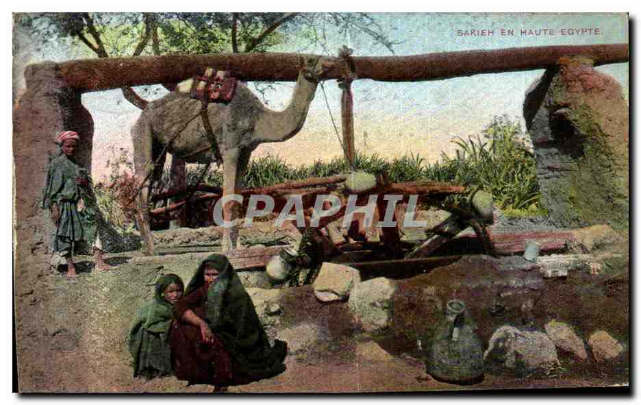 Sarieh en Haute Égypte — scène de vie locale avec chameau et personnes — éditeur Lichtenstern & Harari, n°203