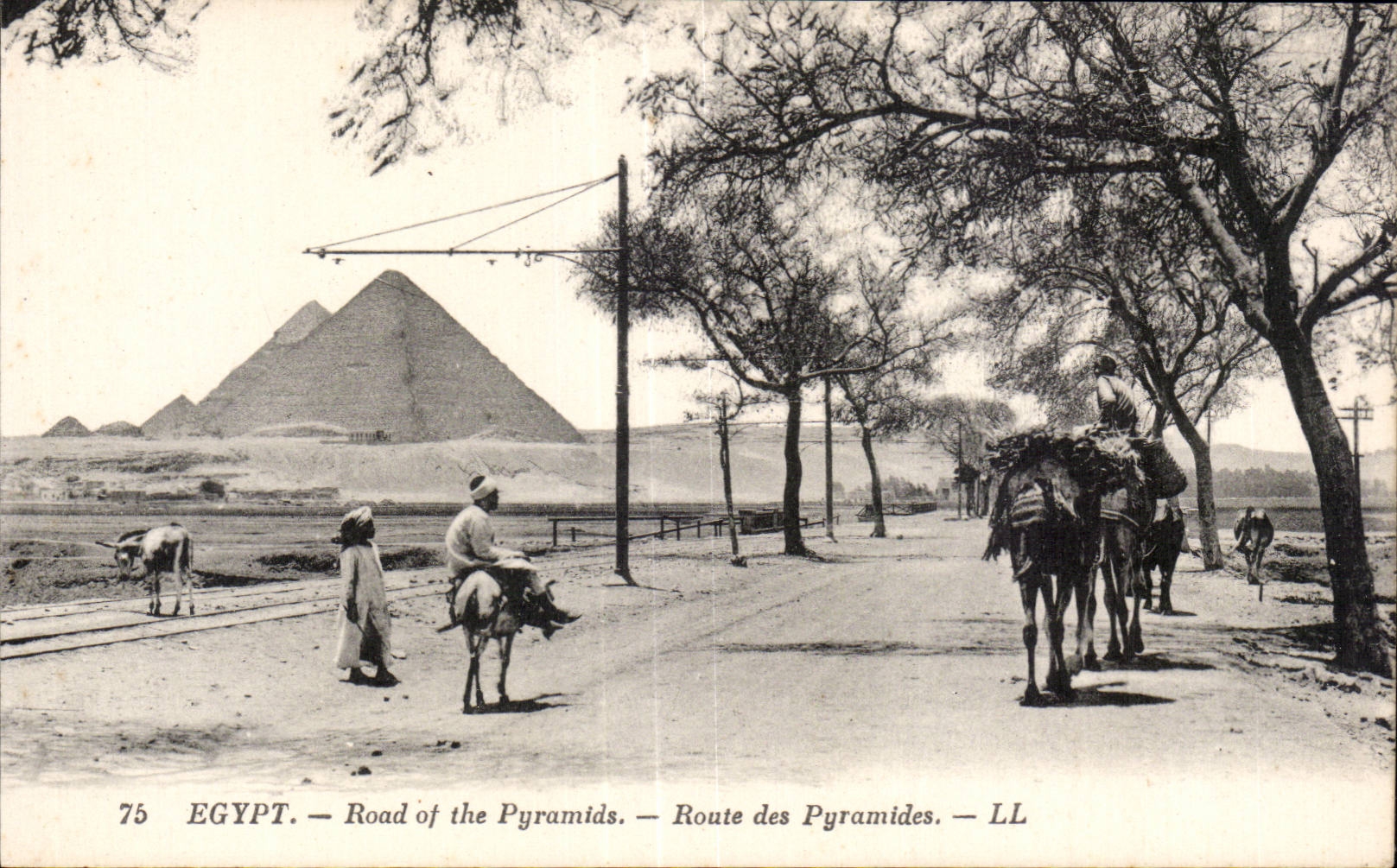 Egypt — Route of the Pyramids — LL