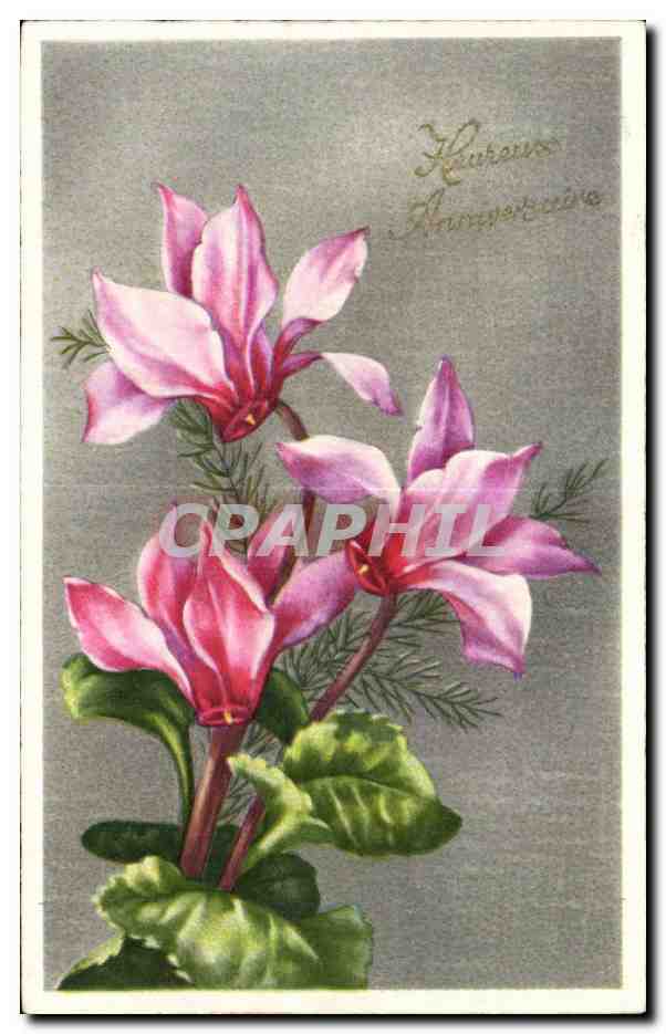 Fleurs Heureux Anniversaire - CPA 