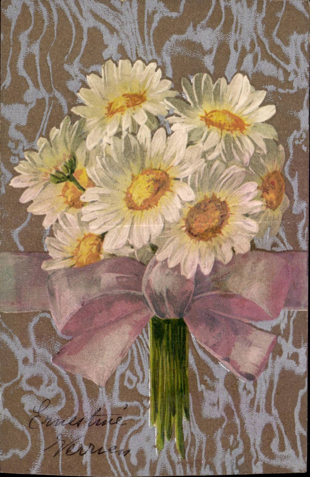 Blumenstrauß aus Margeriten — mit rosa Schleife — Ernestine Verrecq