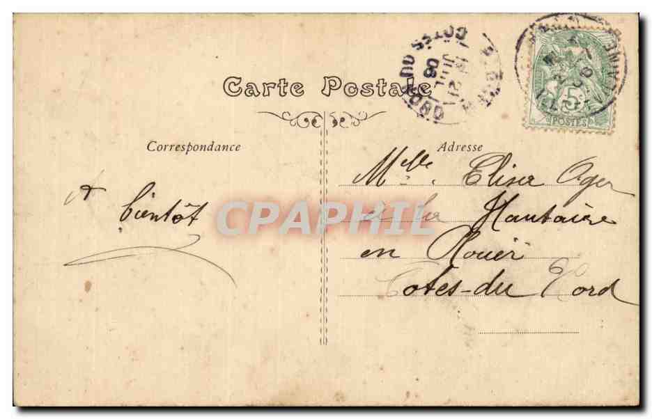 Fleurs daisy - CPA  — Back