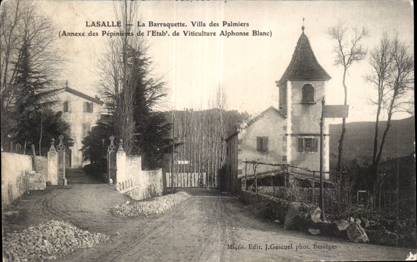 CPA Lasalle Le Barraquette Villa des Palmiers Annexe des Pepinieres de I Etab de Viticulture Alphonse Blanc