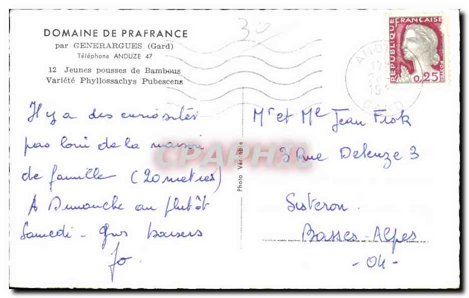 CPA Jeunes pousses de Bambous Variete Physslsssachys Pubescens Bamboo — Rückseite