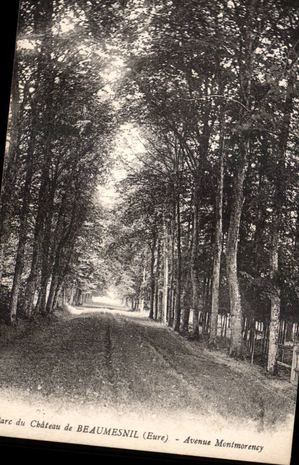 CPA Parc du Chateau de Beaumesnil Eure Avenue Montmorency
