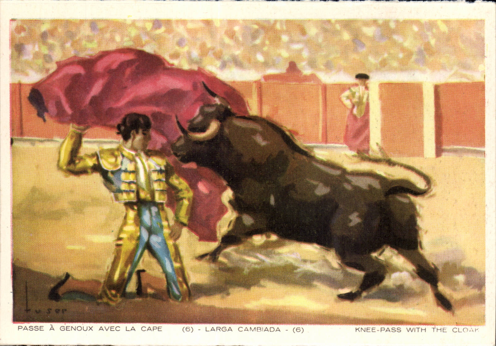 CPA Corrida Passe a genoux avec la cape Taureau