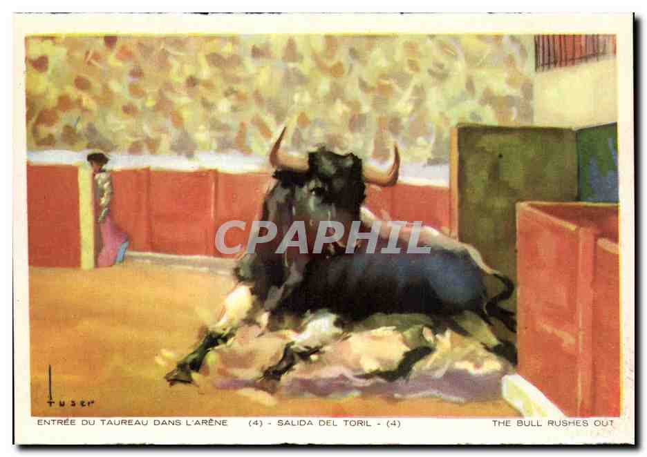 CPA Corrida Entree du taureau dans l arene Taureau