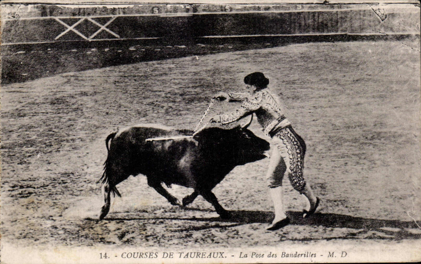 Cours de taureaux - La Pose des Banderilles - M. D.