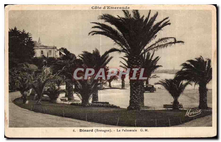 CPA Dinard (Bretagne) La Palmeraie