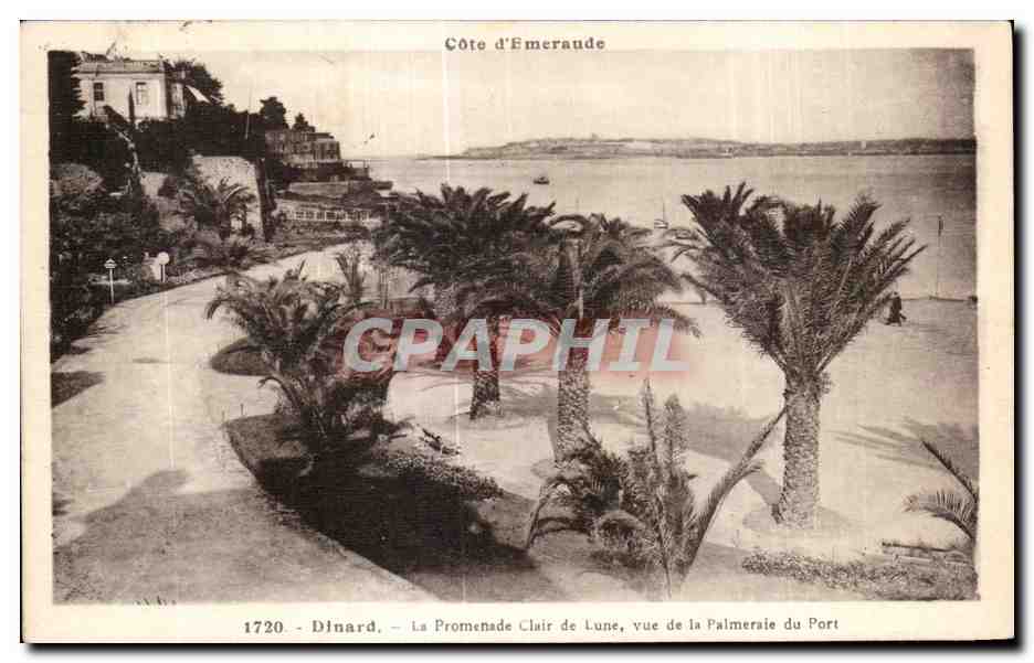 CPA Dinard La Promenade Clair de Lune vue de la Palmeraie du Port