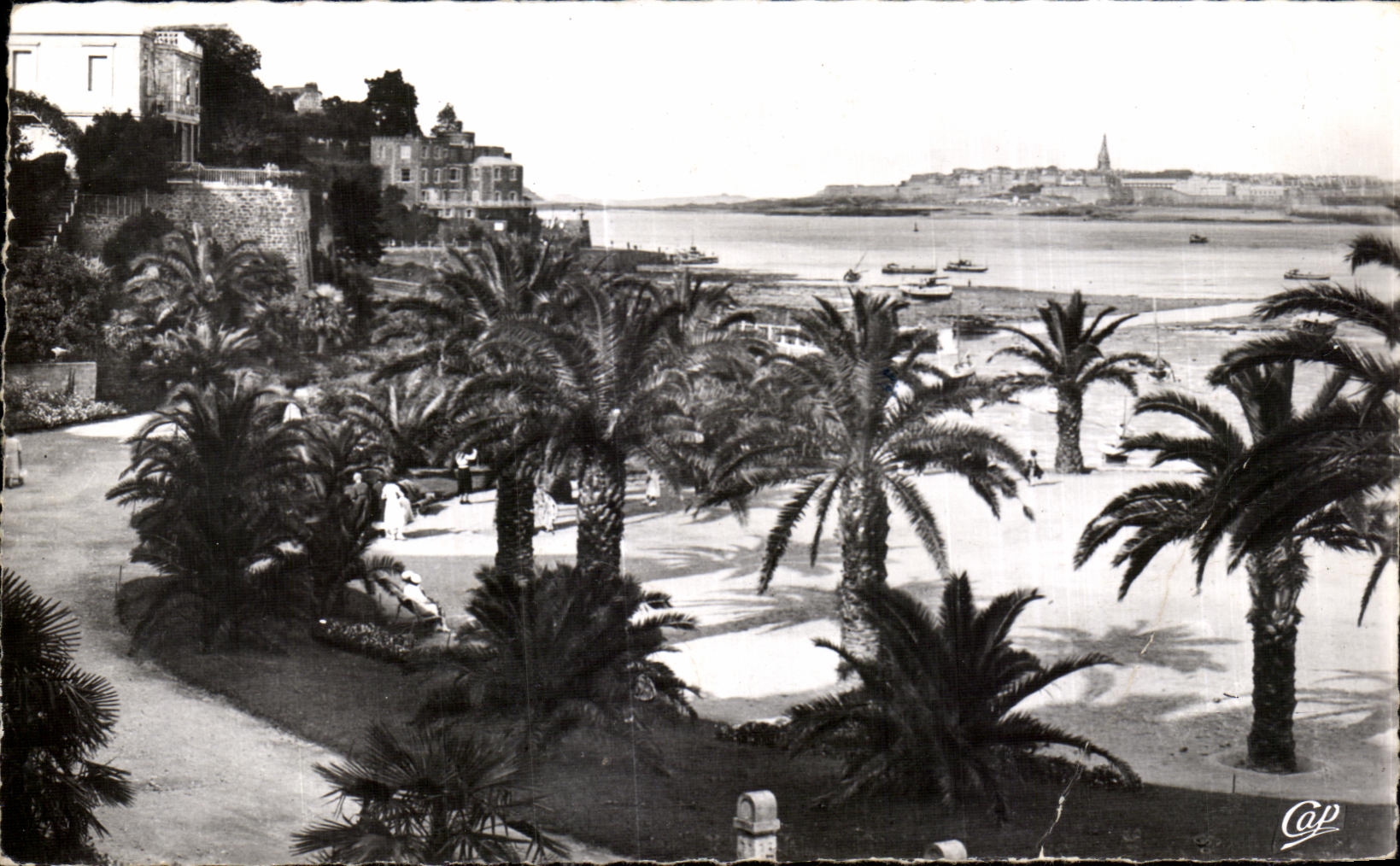 Dinard - La Palmeraie — vue sur la baie — éditeur C.A.P. (61) - n° 77