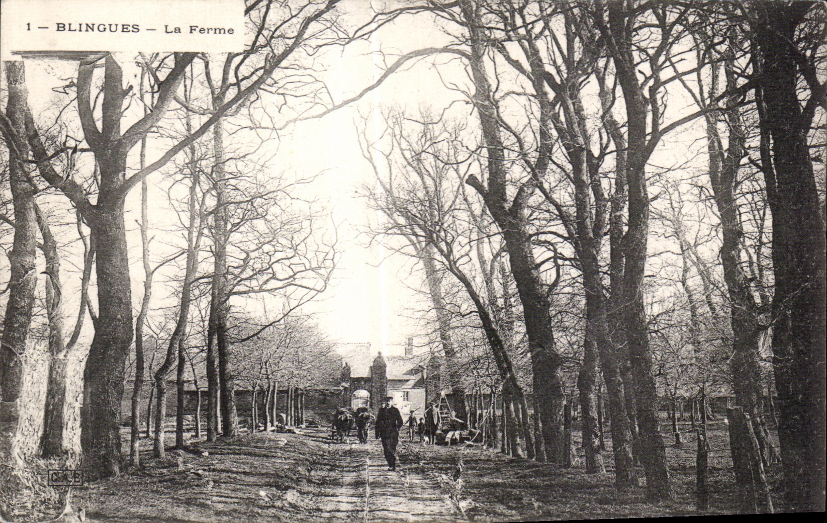 Bligny - La Ferme — vue d'une allée bordée d'arbres nus avec une bâtisse en arrière-plan — éditeur C.A.B.
