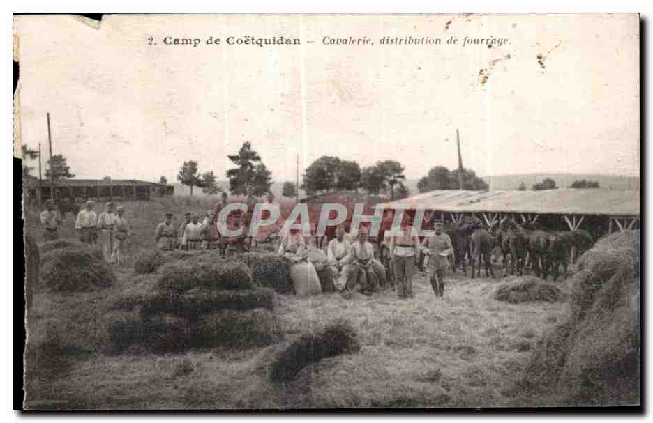 CPA Camp de Coetquidan Cavalerie distribution de fourrage Militaria Cheval Horse