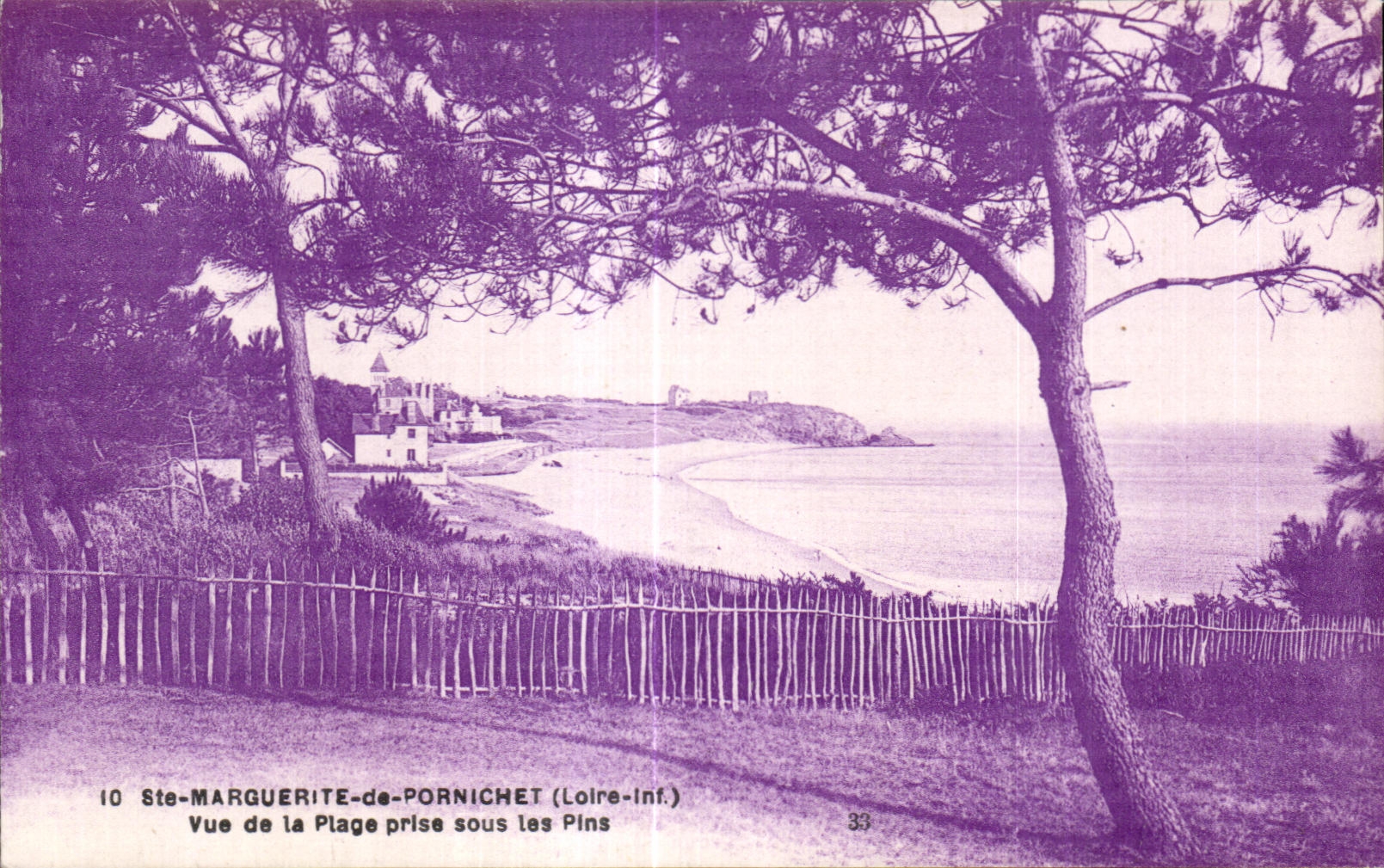 CPA Ste Marguerite de Pornichet Vue de la Plage Prise sous les Pins