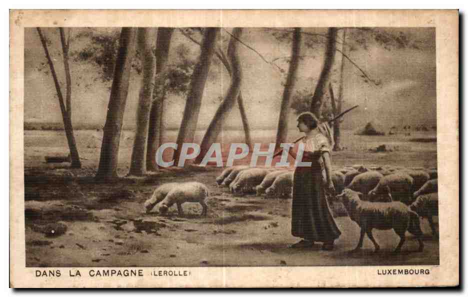 CPA Dans La Campagne Lerolle Luxemborg Moutns Sheep