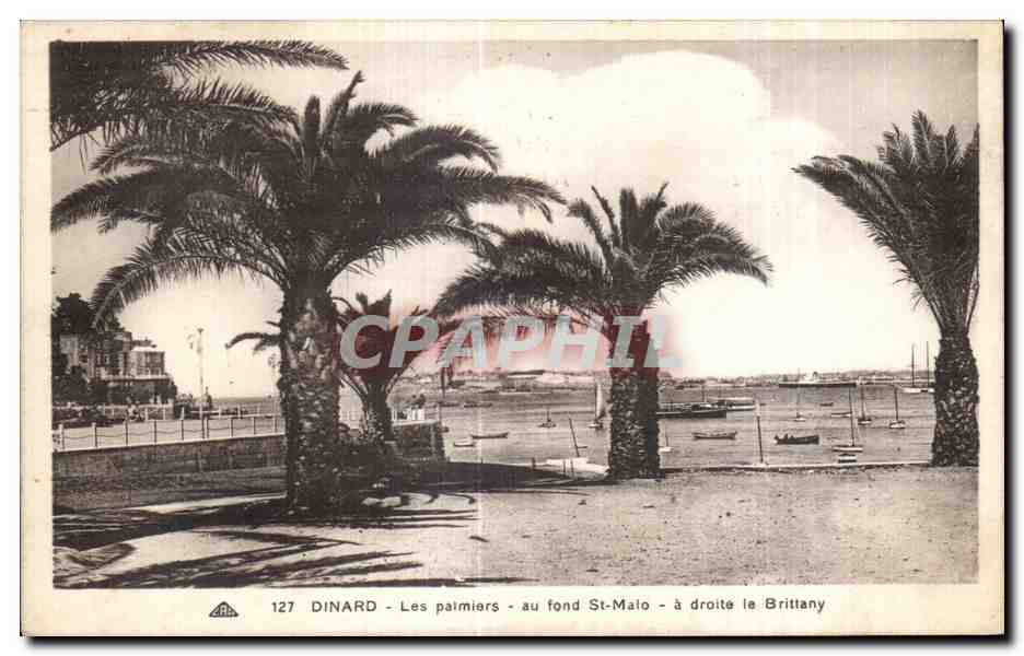 CPA Dinard Les palmiers au fond St Malo a droite le Brittany