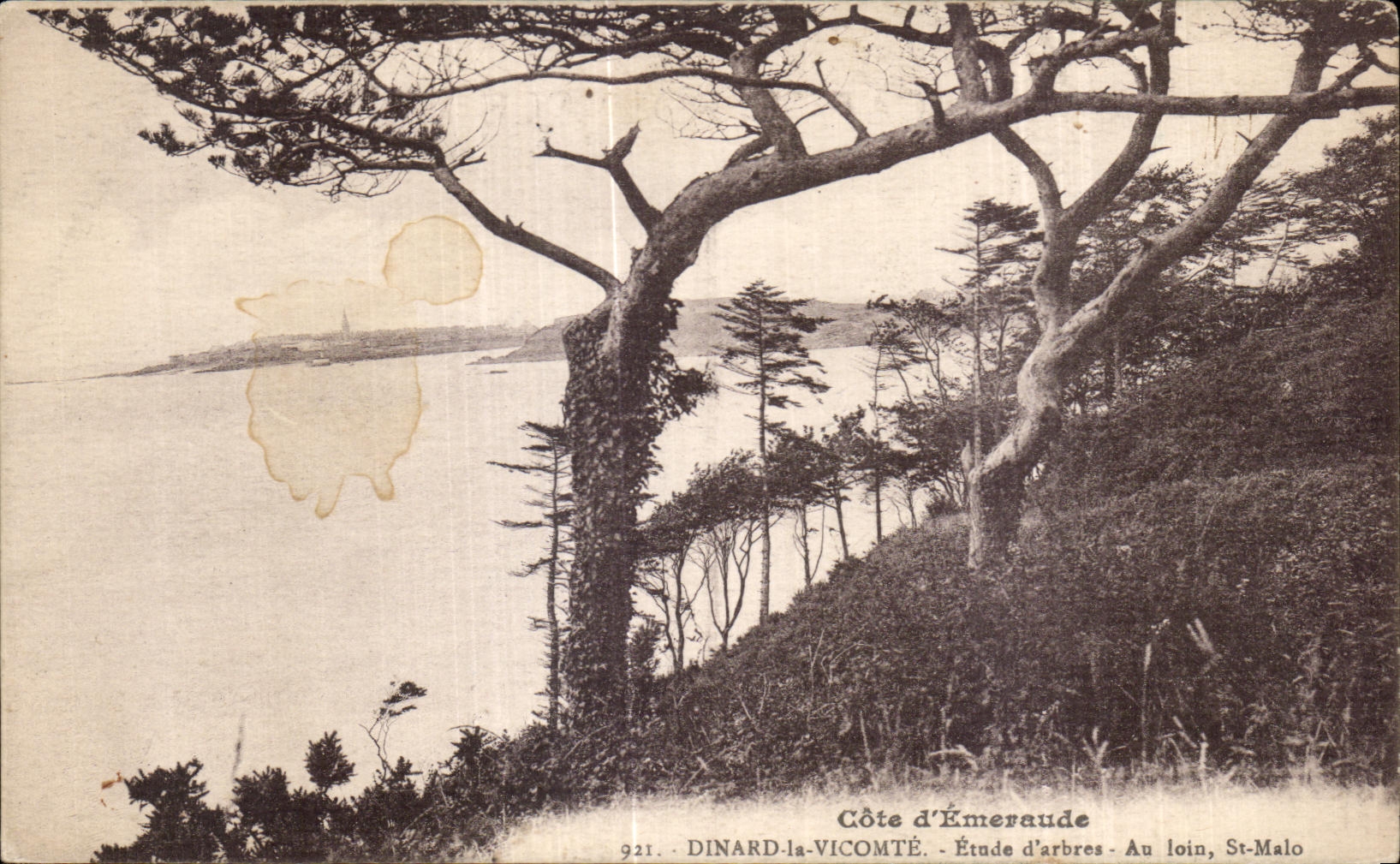 Côte d'Émeraude — Étude d'arbres — Au loin, St-Malo — DINARD-la-VICOMTÉ, n°921