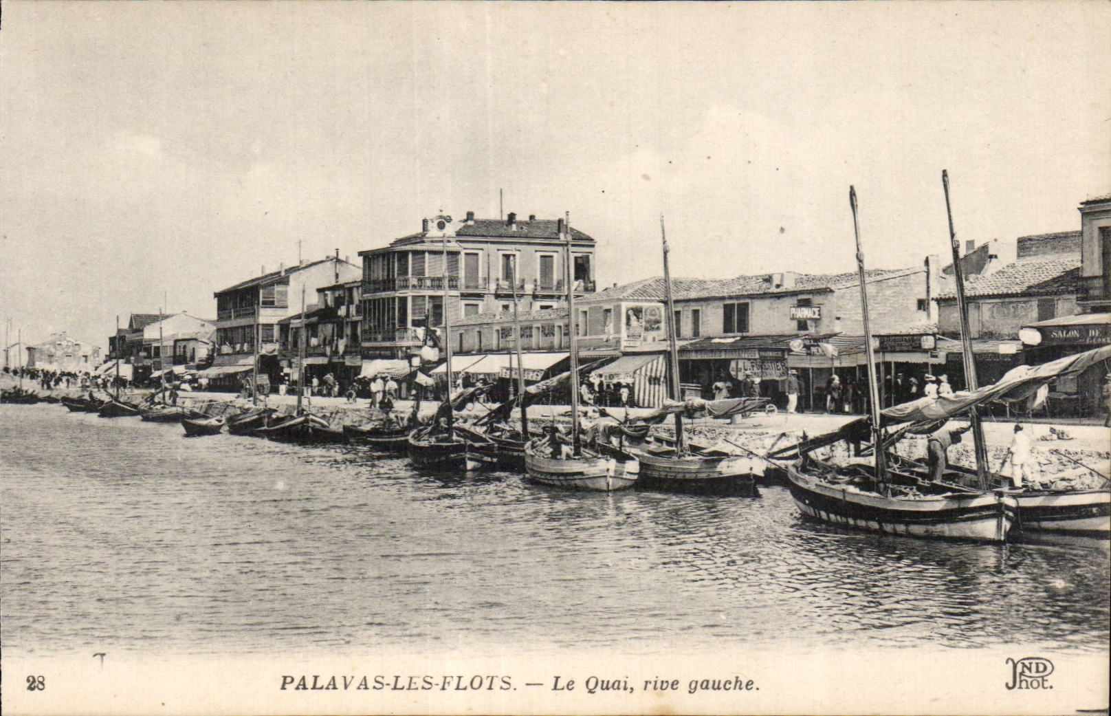 CPA Palavas les Flots Le quai rive gauche 