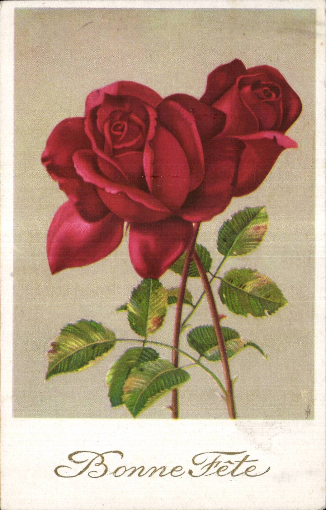 CPA Fantaisie Fleurs Roses Bonne fete