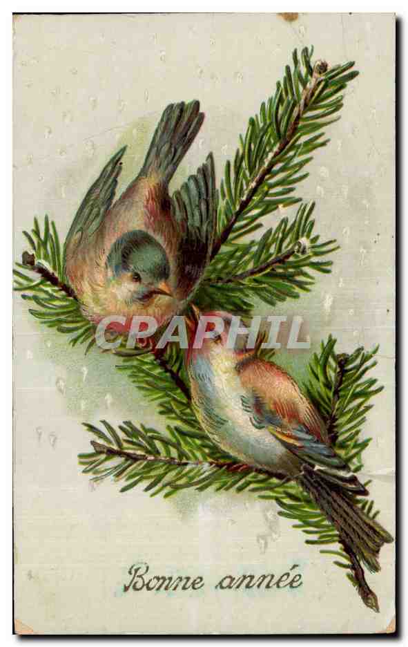 CPA Fantaisie Oiseau Bonne annee
