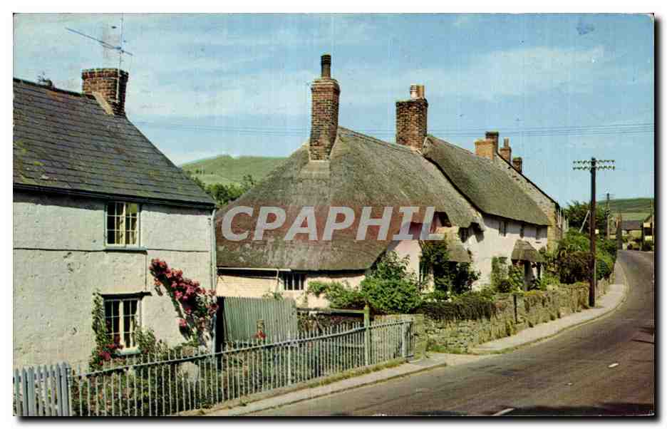 CPSM Great Britain Chideock and Quarry Hill A delightful little village 