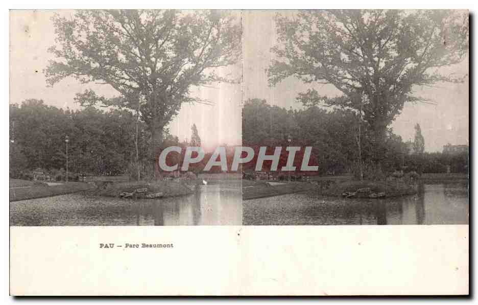 Pau — Park Beaumont — monumentales Baum am See